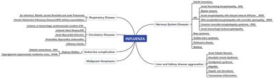 Excess multi-cause mortality linked to influenza virus infection in China, 2012–2021: a population-based study